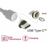 Delock Magnetischer Adapter USB Type-C™ Stecker