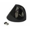 Delock Ergonomische USB Maus vertikal - kabellos