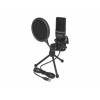Delock USB Kondensator Mikrofon Set - für Podcasting, Gaming und Gesang