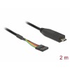 Delock Konverter USB Type-C™ 2.0 Stecker zu LVTTL 6 Pin Pfostenbuchse 2,0 m